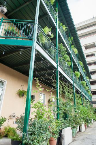 This is the image of the O'Brien Riverwalk Boutique Hotel #3