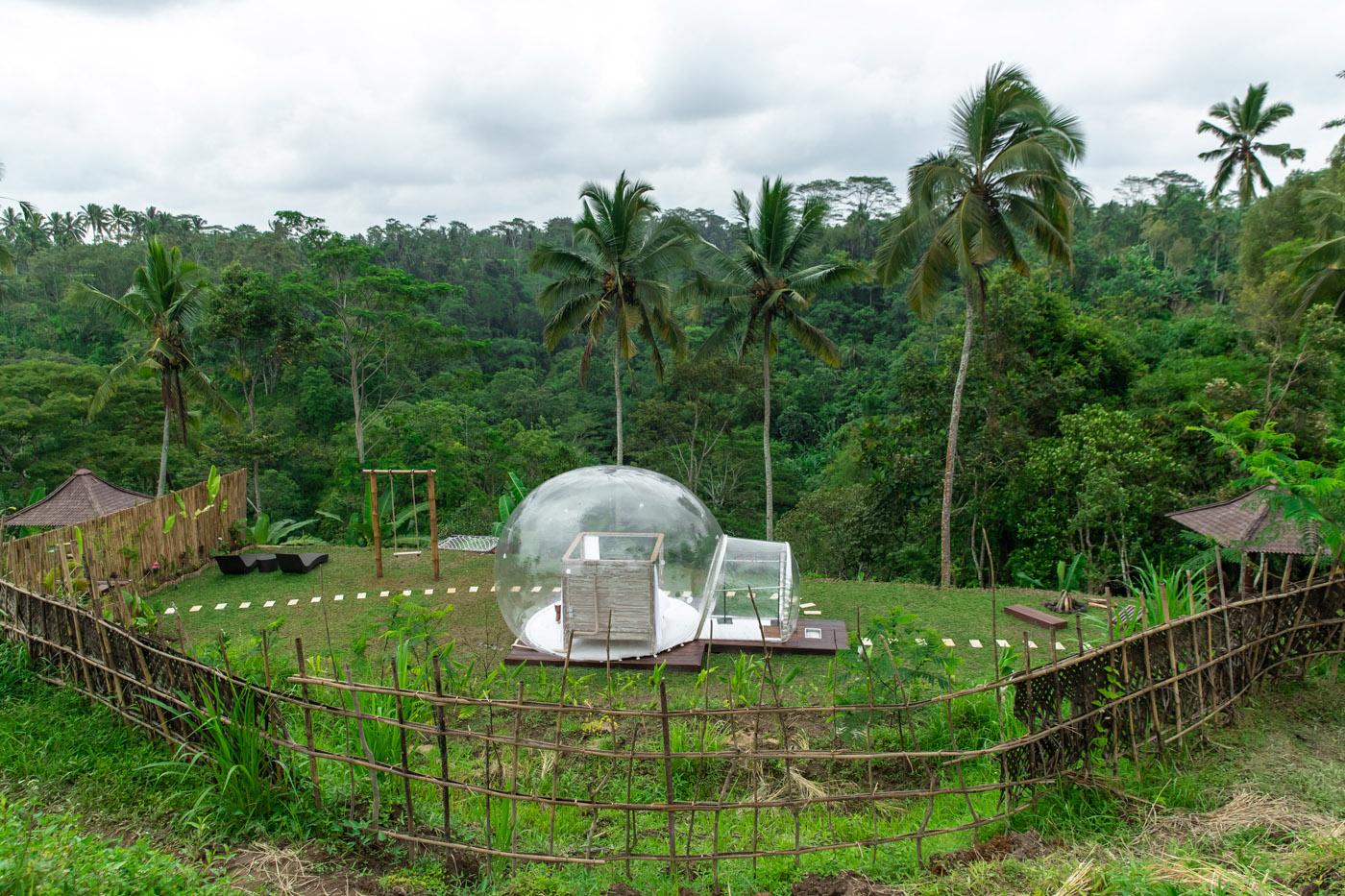 This is the image of the Romantic Bubble Dome Ubud #1