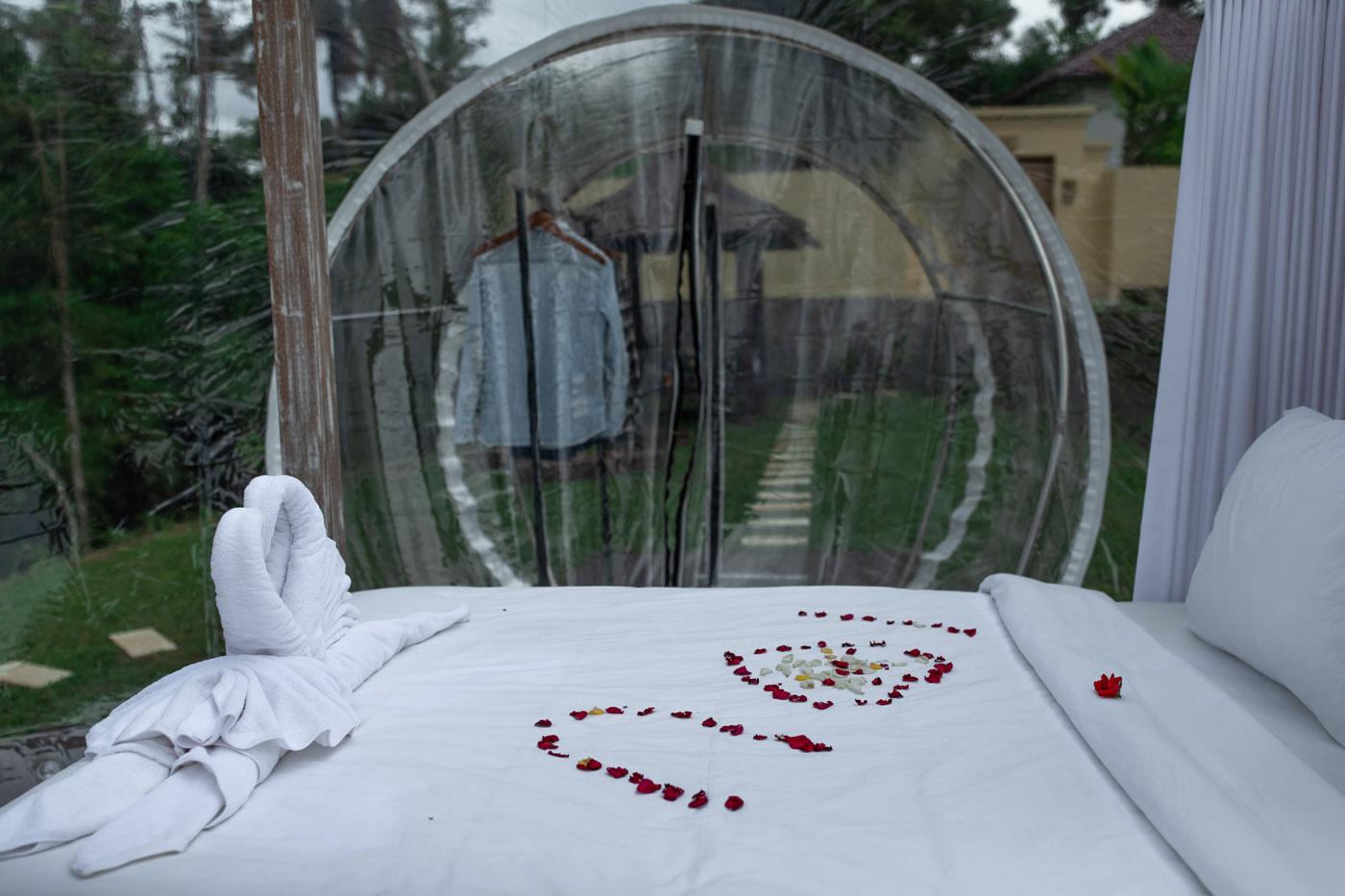 This is the image of the Romantic Bubble Dome Ubud #3