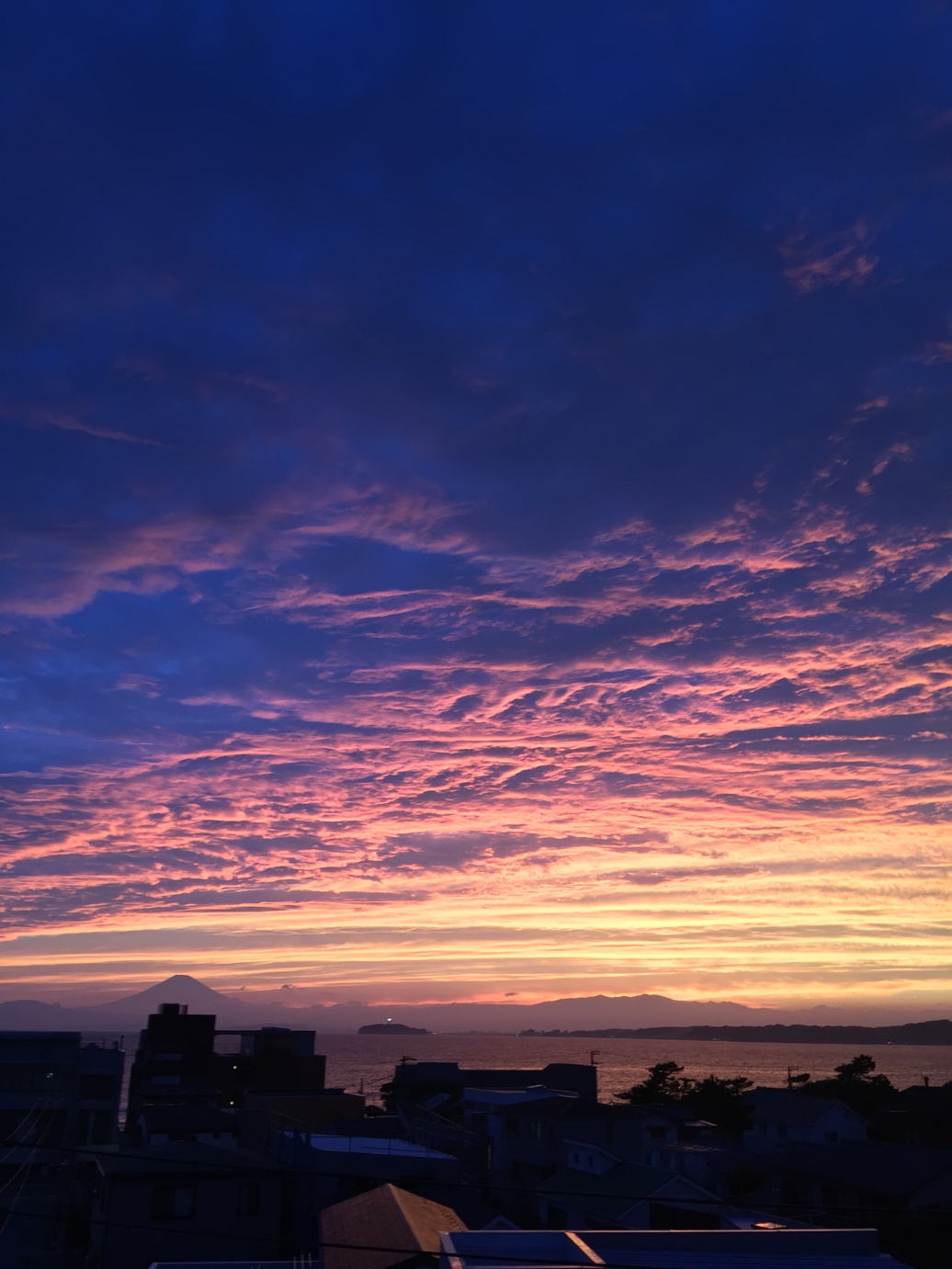 This is the image of the Hotel Hayamakan (Kanagawa) #4