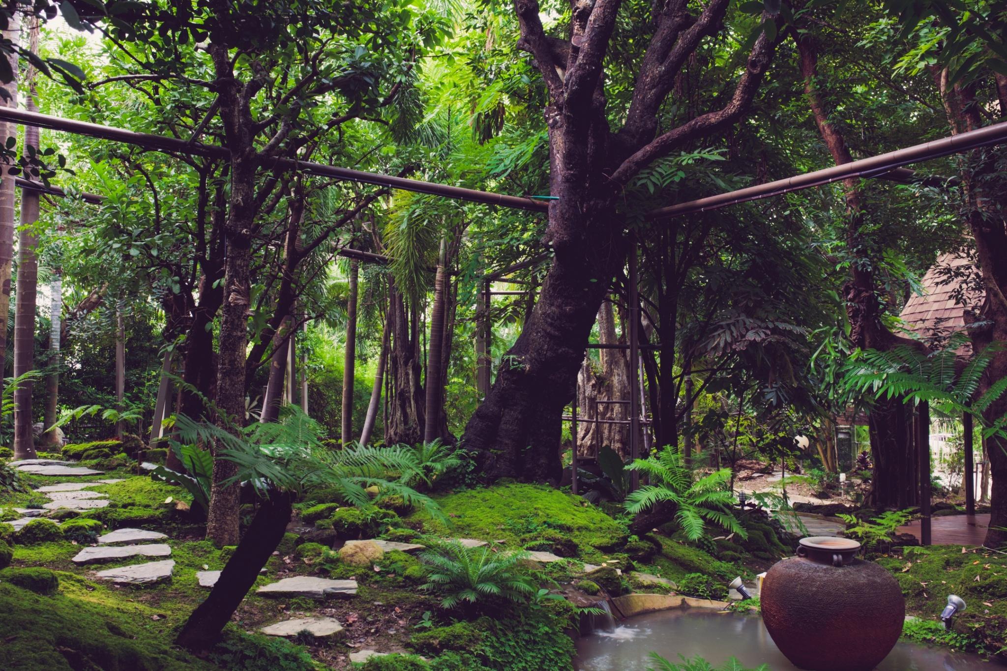 This is the image of the Treescape Resort Chiangmai #2