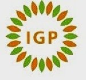 PT IGP Internasional PT IGP Internasional