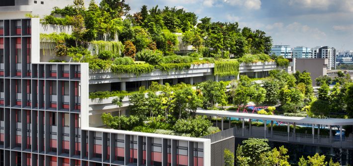 World Architecture Festival 2018
