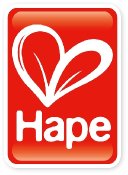 hape reversible train storage table