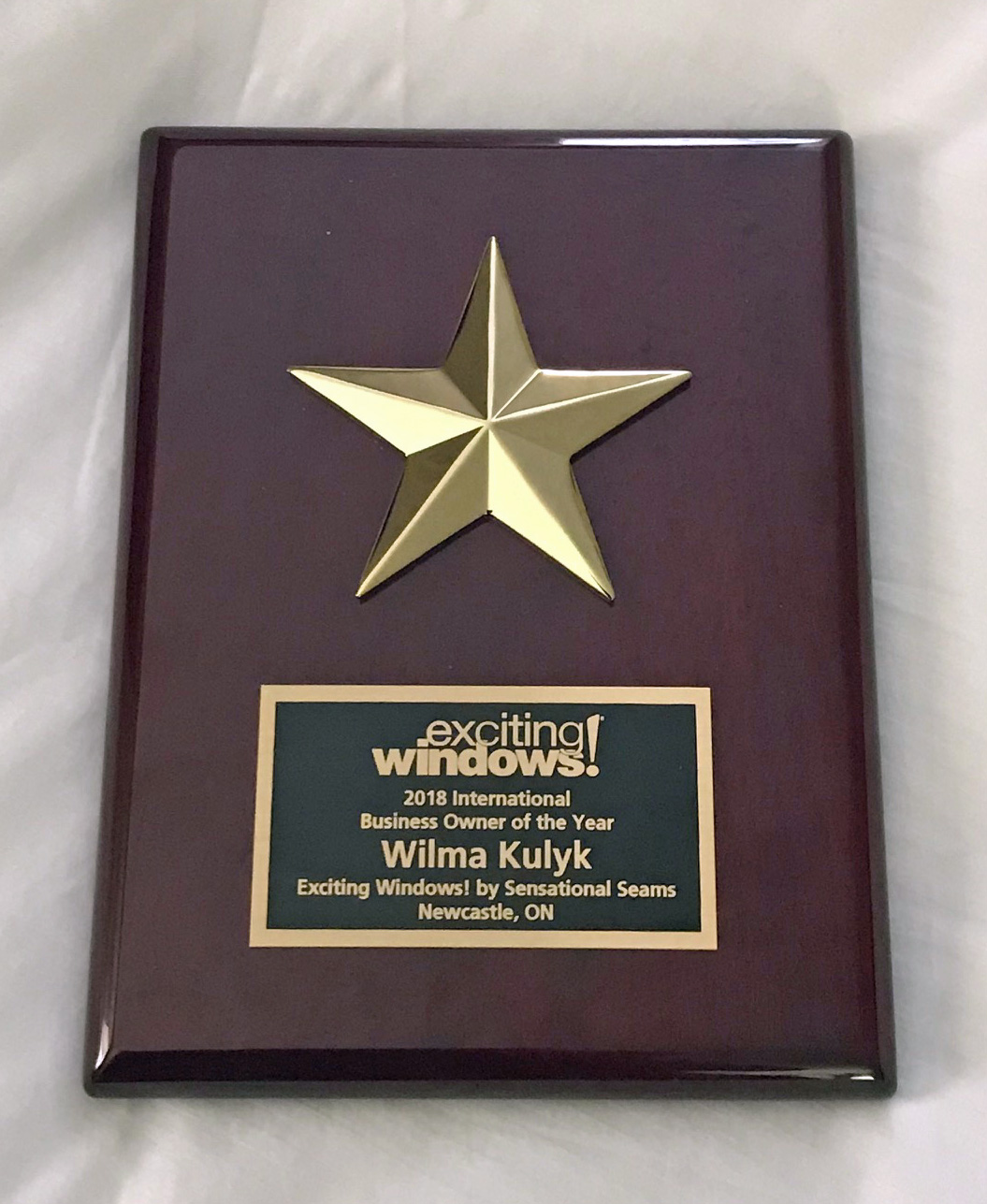 Exciting Windows 2018 International Business Owner of the Year Winner