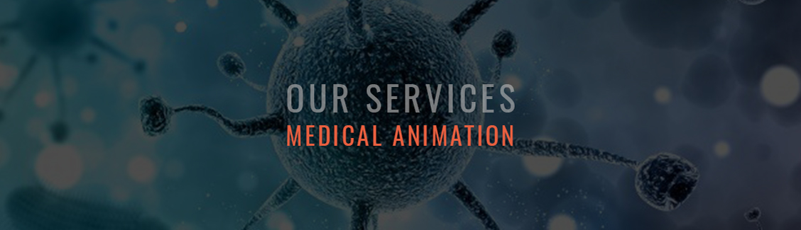 Our Medical Animation Services