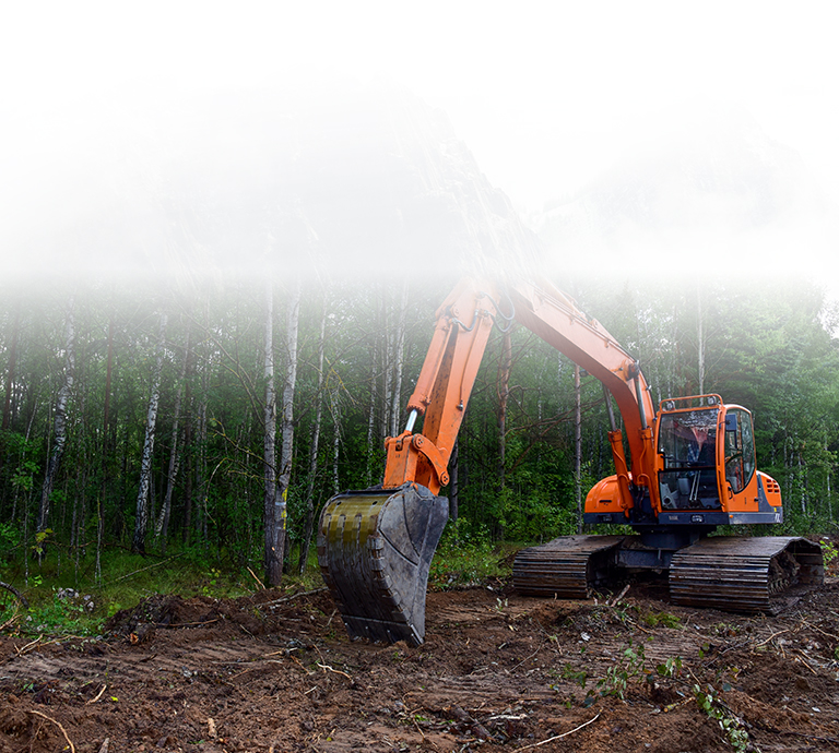 Tree Service Company Parksville