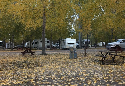 Full Service RV Sites, Storage, Camping in Edmonton | RV Park Services