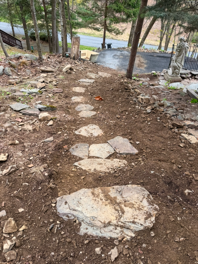 Landscaping Project