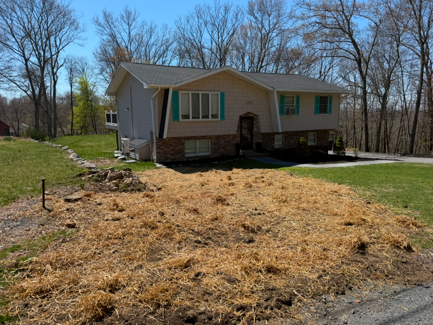 Landscaping Project
