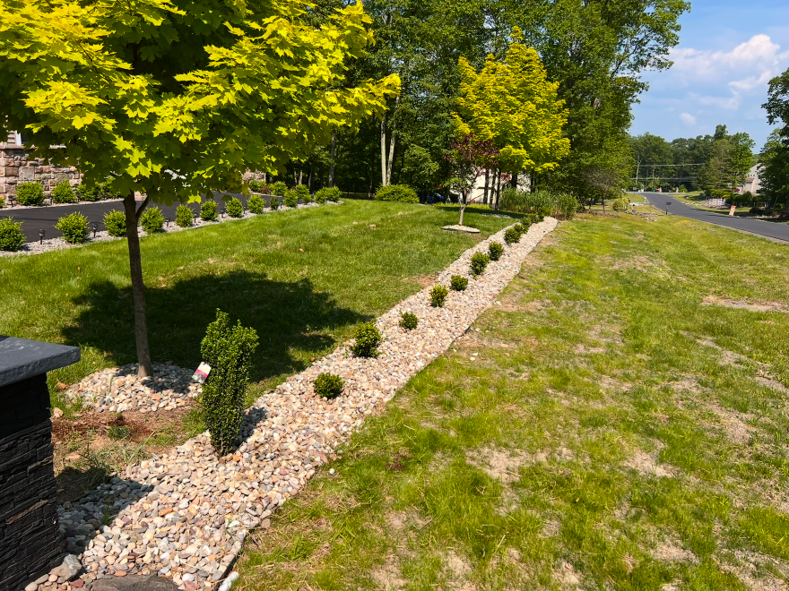 Landscaping Project