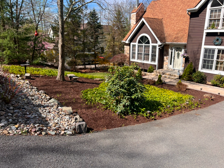 Landscaping Project