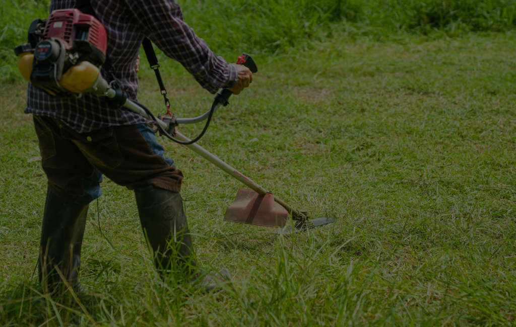 Blog by Logan's Property Services