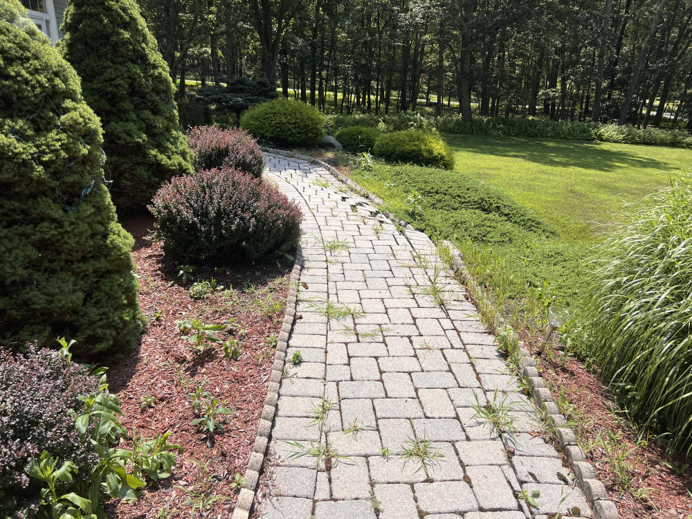 Hardscaping Project