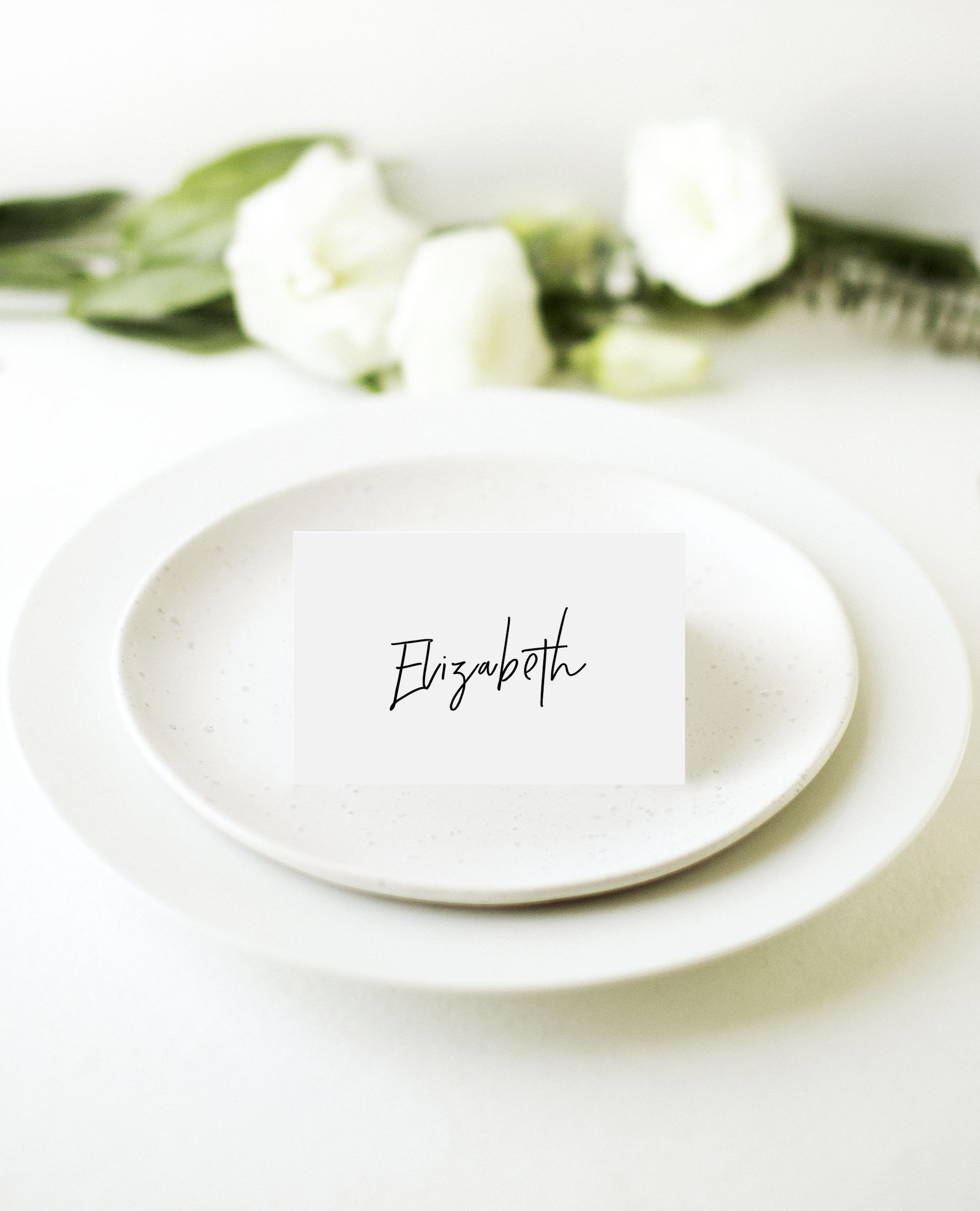 Clair De Lune Wedding Place Cards - Digital Printing design preview