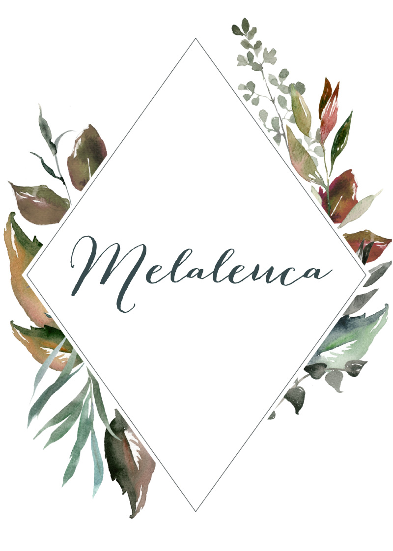 Melaleuca Table Numbers - Digital Printing design preview