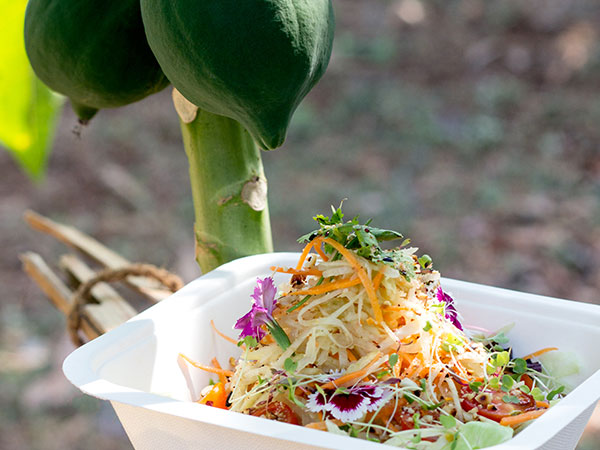 The Green Papaya & Daikon Salad