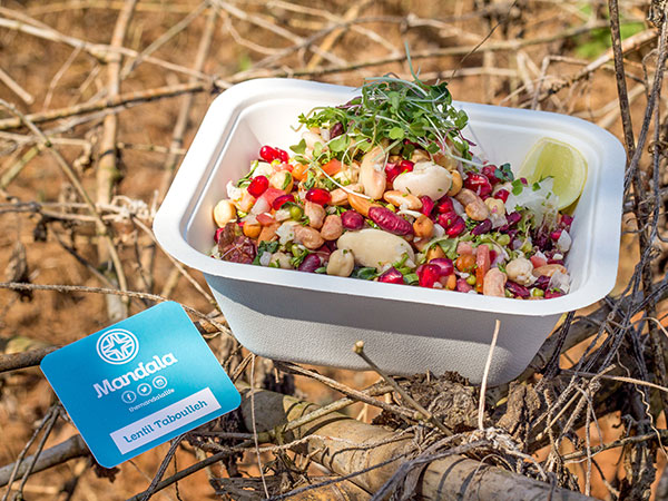 The Cooked Tabbouleh Lentil