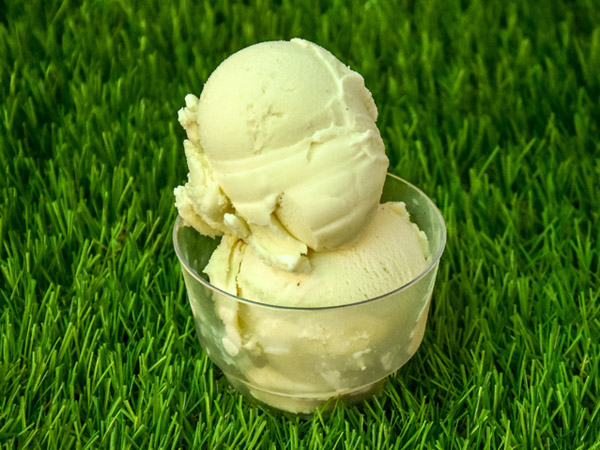 French Vanilla Bean Gelato