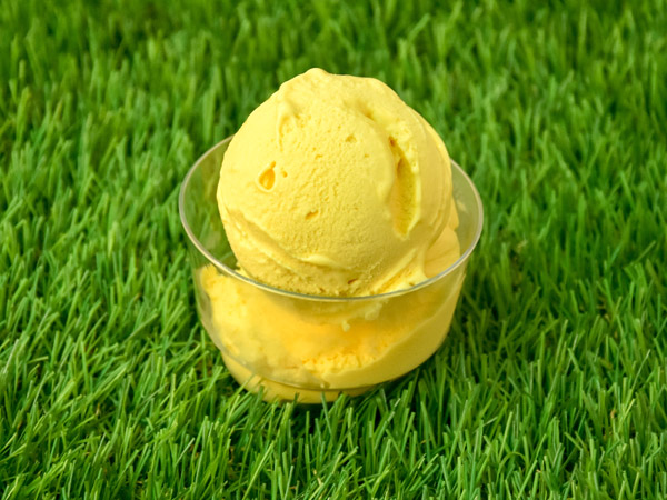 Mad Mango Gelato