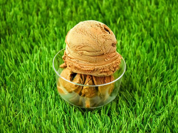 Belgian Chocolate Gelato