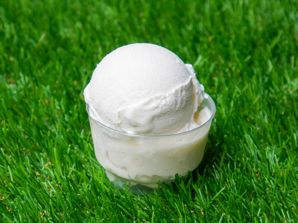 Milky Way Gelato