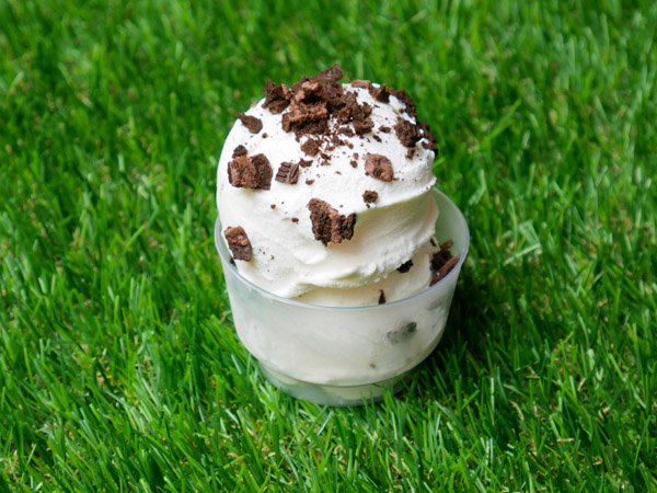 Milky Oreo Gelato