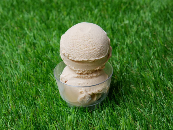 Swiss Hazelnut Gelato