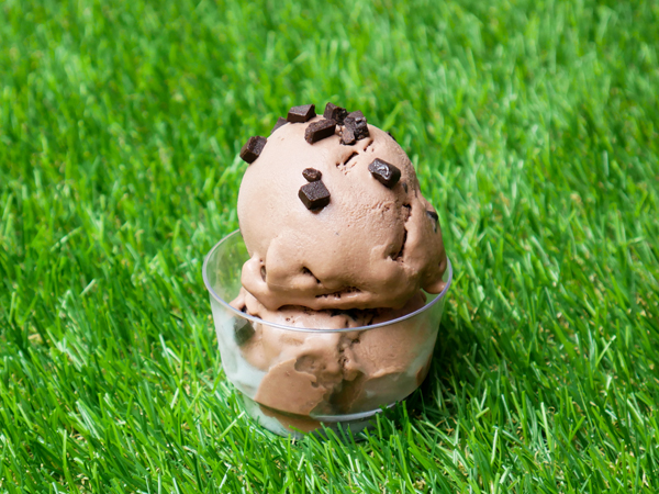 Chopped Choc Chipper Gelato
