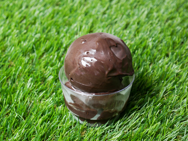 Black Fudge Gelato