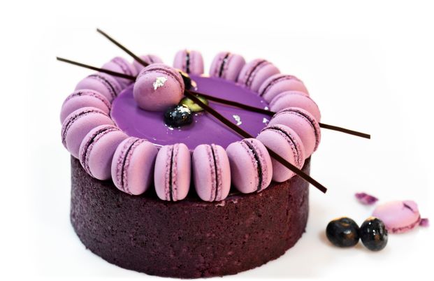 Blueberry Dream