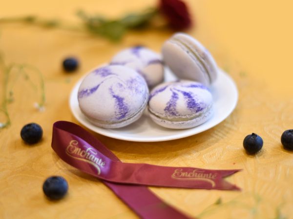 Blueberry Cheese Macaron