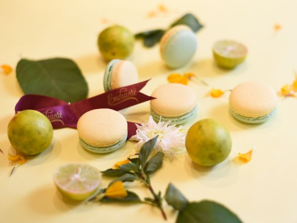 Lime Basil Macaron