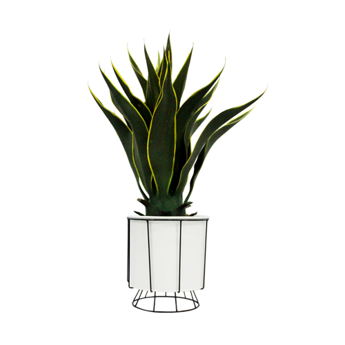 Artificial Century Plant