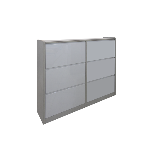 Swing Door Shoe Cabinet