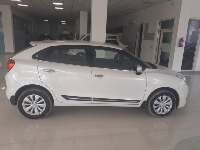 Rbol Lluvia De Oro Cassia Fistula Parques Alegres