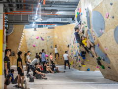Rock Climbing S Kid Stars Hit Bump Just At Sport S Apex Bloomberg