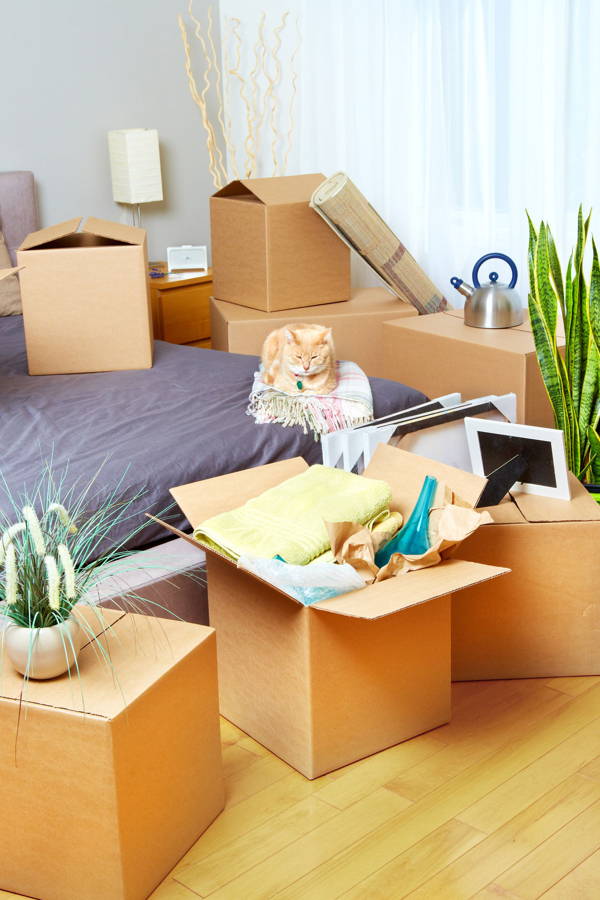 Effective Tips that Will Make Moving Easier