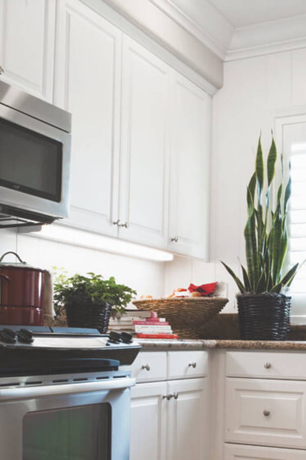 If Your Kitchen Constantly Stinks You Need to do This