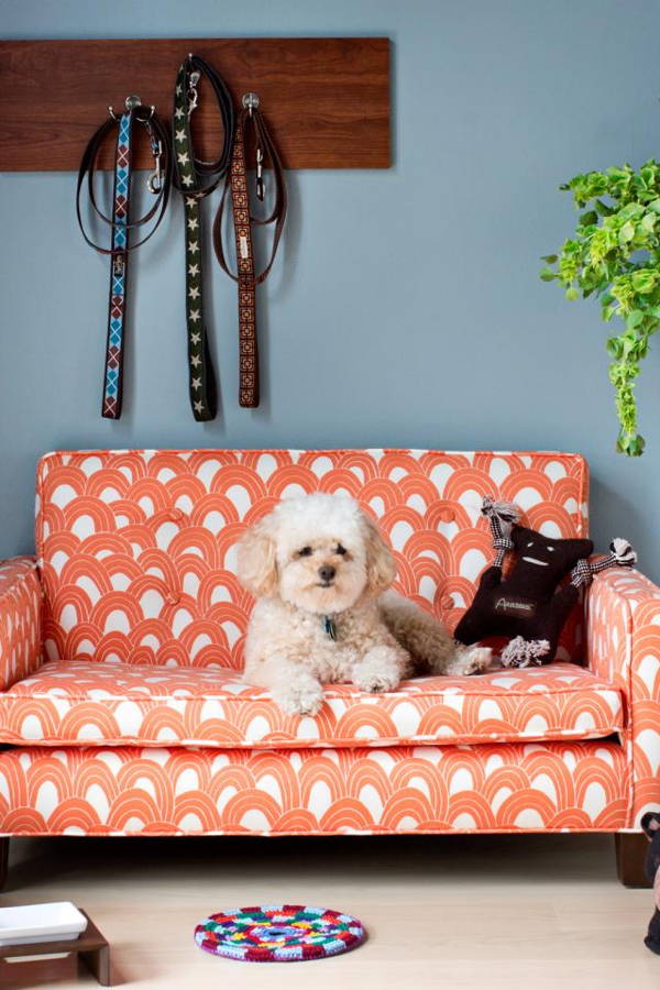 Convert These Secret Spaces at Home Into Doggy Dens