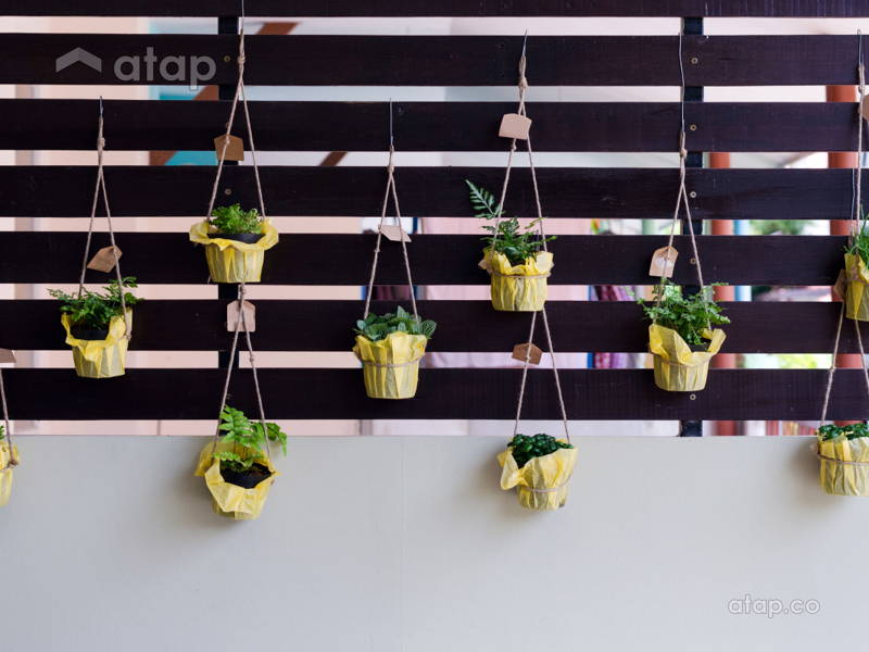 Turn Your Balcony into a Green Haven