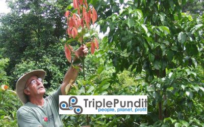 Triple Pundit – People, Planet, Profit