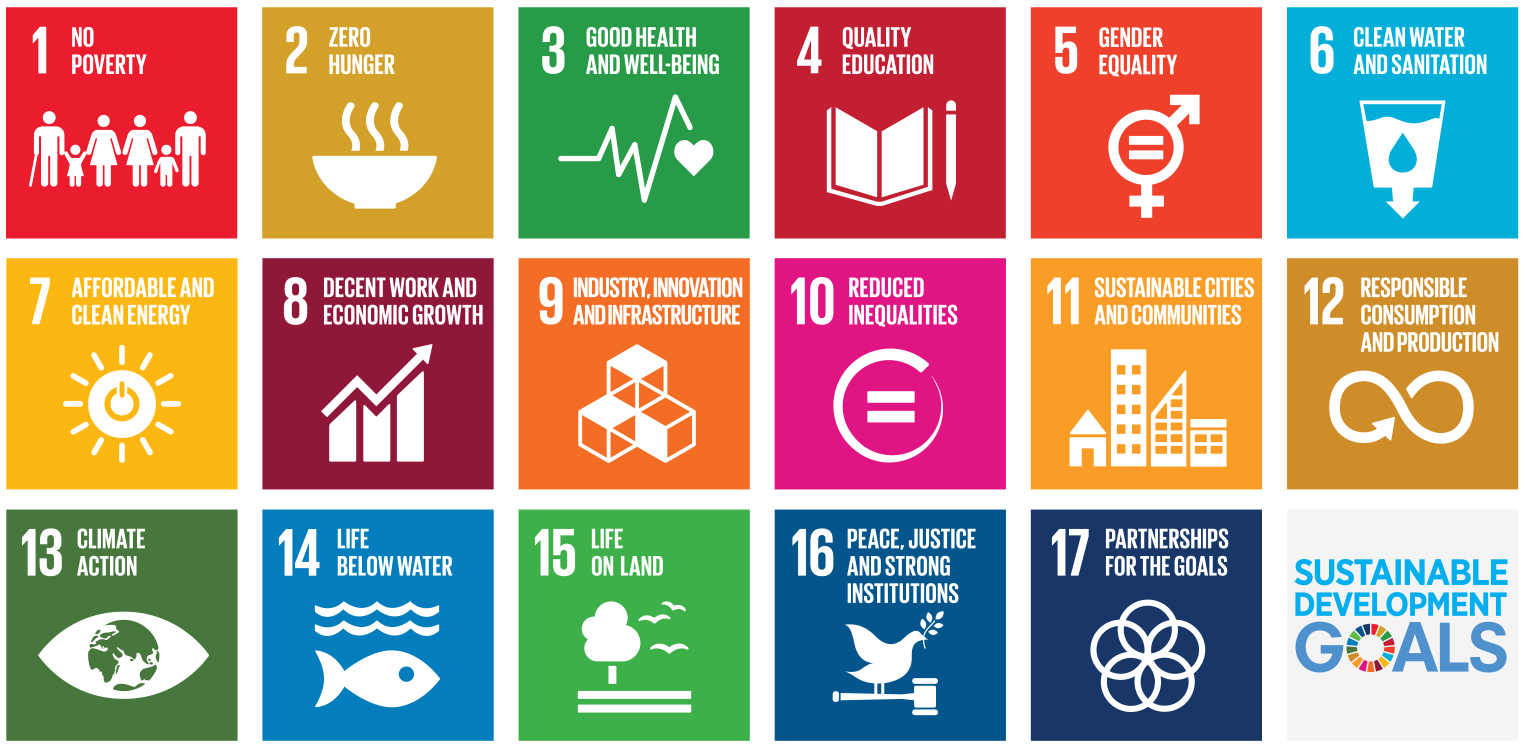 Image result for sdgs