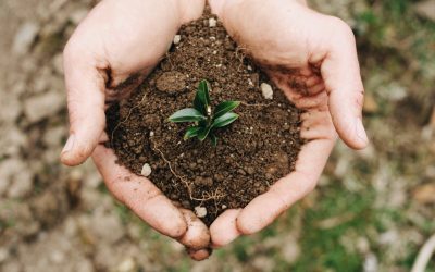 6 Tips to Ensure Truly Effective Business Giving