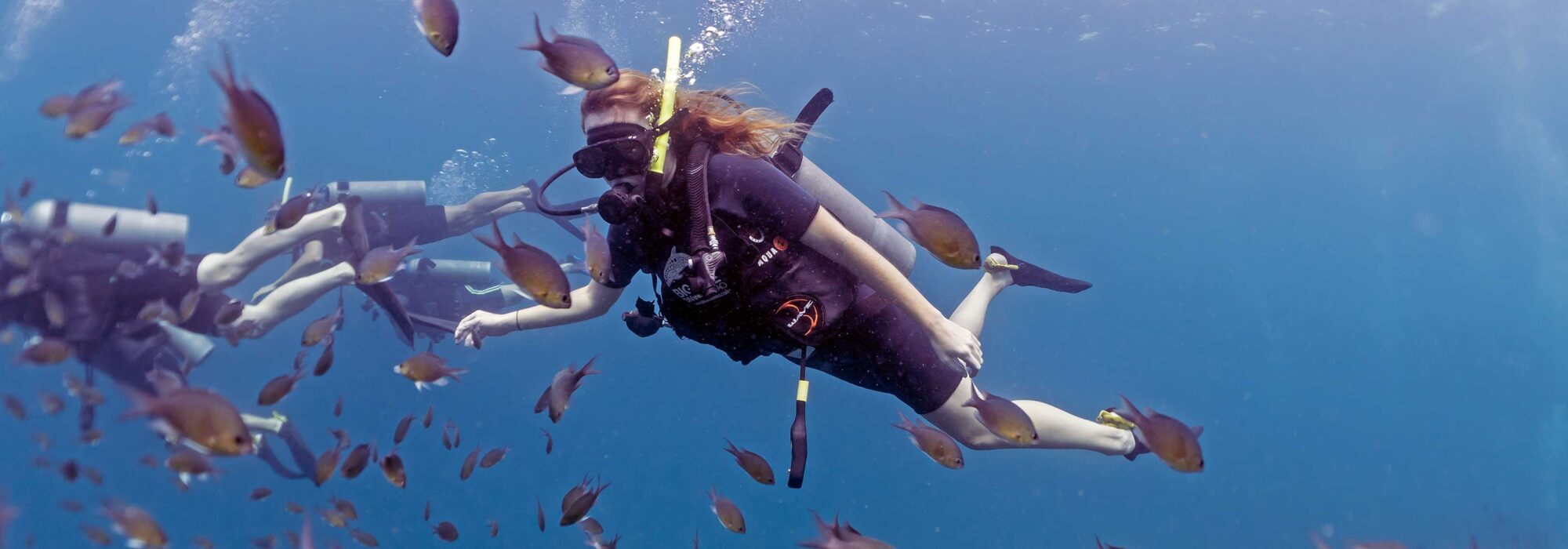 Koh Tao Diving Prices. Big Blue Diving Koh Tao