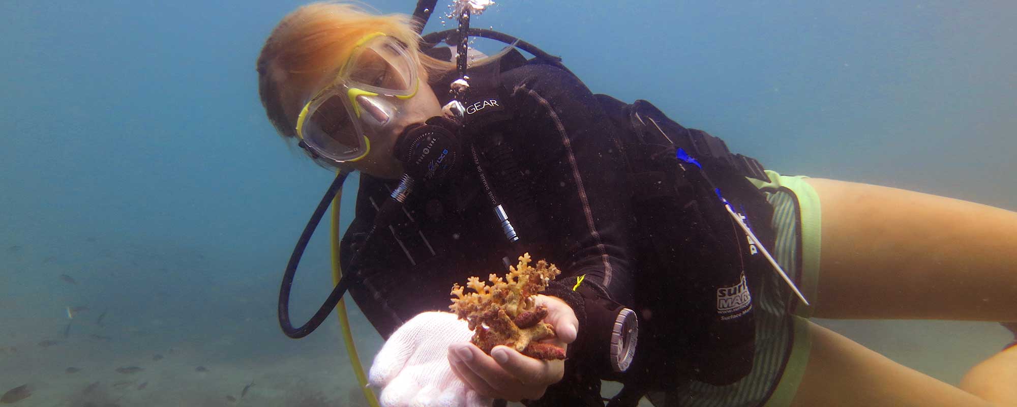 Conservation Internship -One Week Course - Big Blue Diving Koh Tao