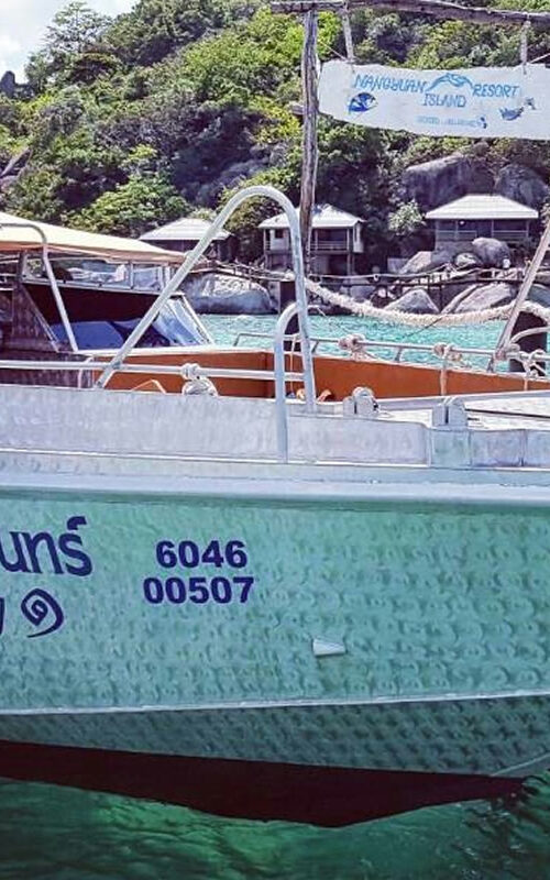 The Ferry to Koh Tao Finally Sets Sail Again Big Blue Diving Koh Tao