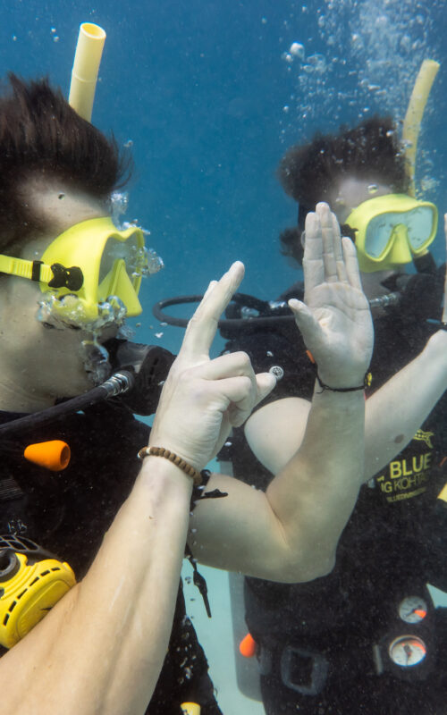 Advanced Course on Koh Tao Big Blue Diving Koh Tao