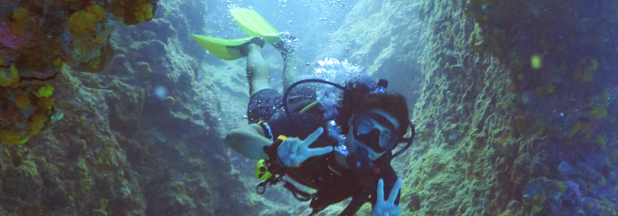 Sail Rock Dive Site The BEST Site in the Gulf Big Blue Diving Koh Tao