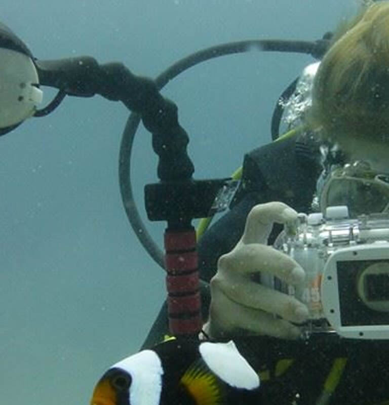 Underwater Photography on Koh Tao Big Blue Diving Koh Tao